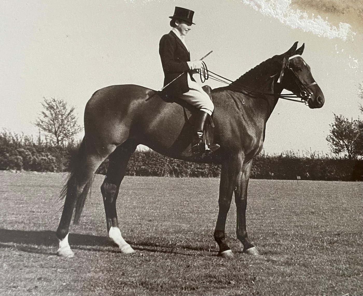 Éleveur de chevaux, cavalier et juge Jennifer Williams est décédé à 90 ans