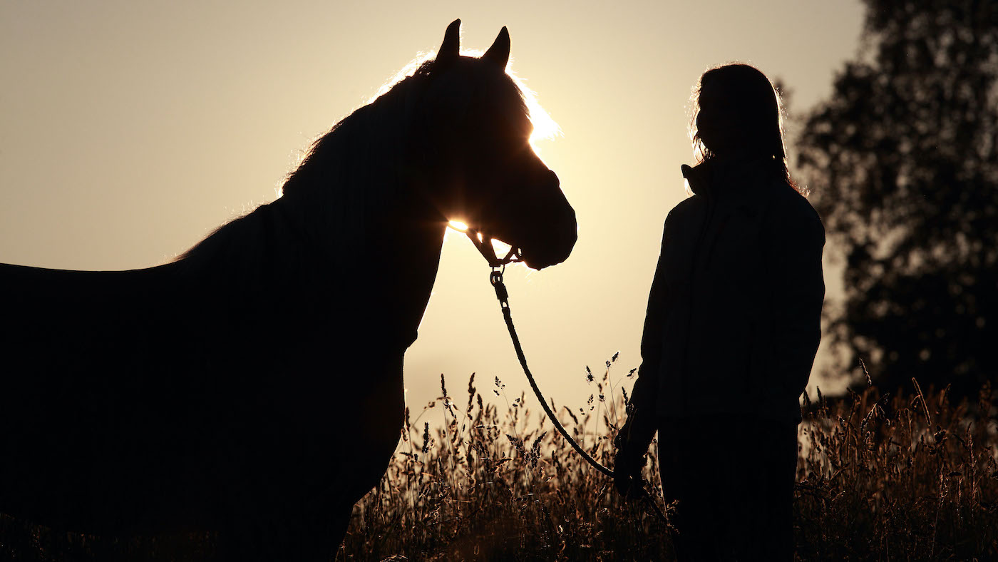 Horse World célèbre notre sens de la communauté pendant la Semaine de sensibilisation à la santé mentale