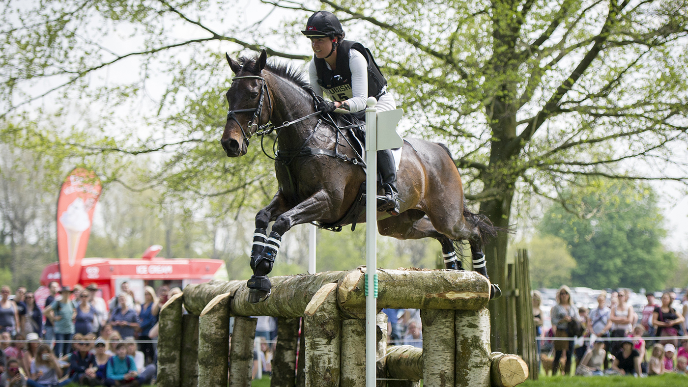 `` Il est allé partout avec moi ': Adieu à un petit ex-cheval qui est allé au sommet