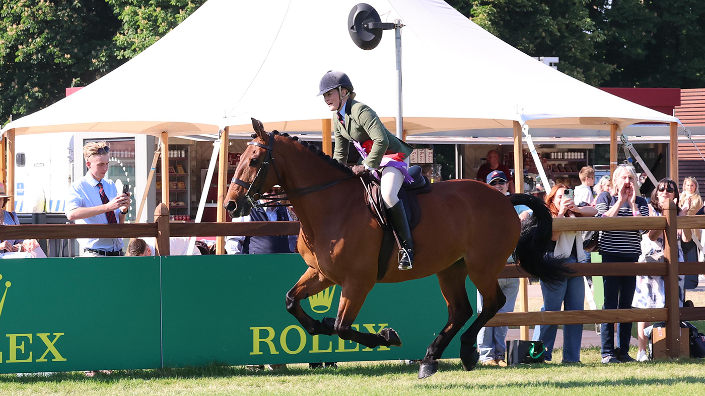 La race rare du Roi Cleveland Bays gagne au Royal Windsor Horse Show