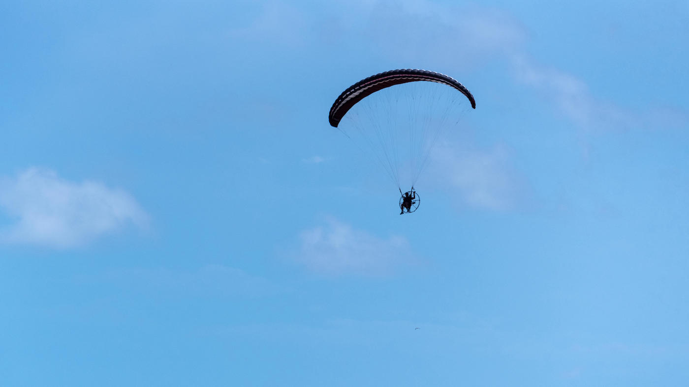 Le poulain décède après que les paragliders volent «bas et erratiquement« sur le champ des chevaux »