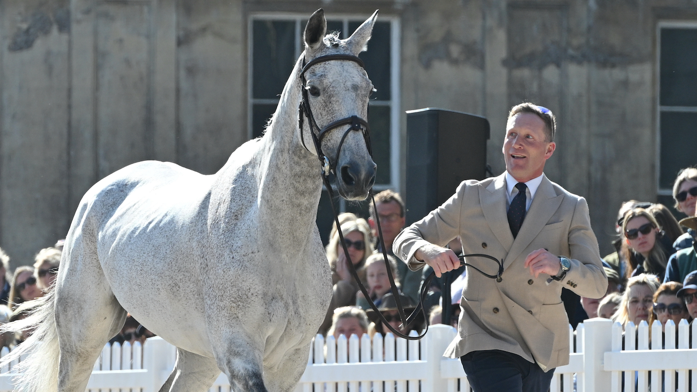 Les derniers essais de chevaux de badminton trot-up ont vu le leader de la nuit parmi 7 détenus