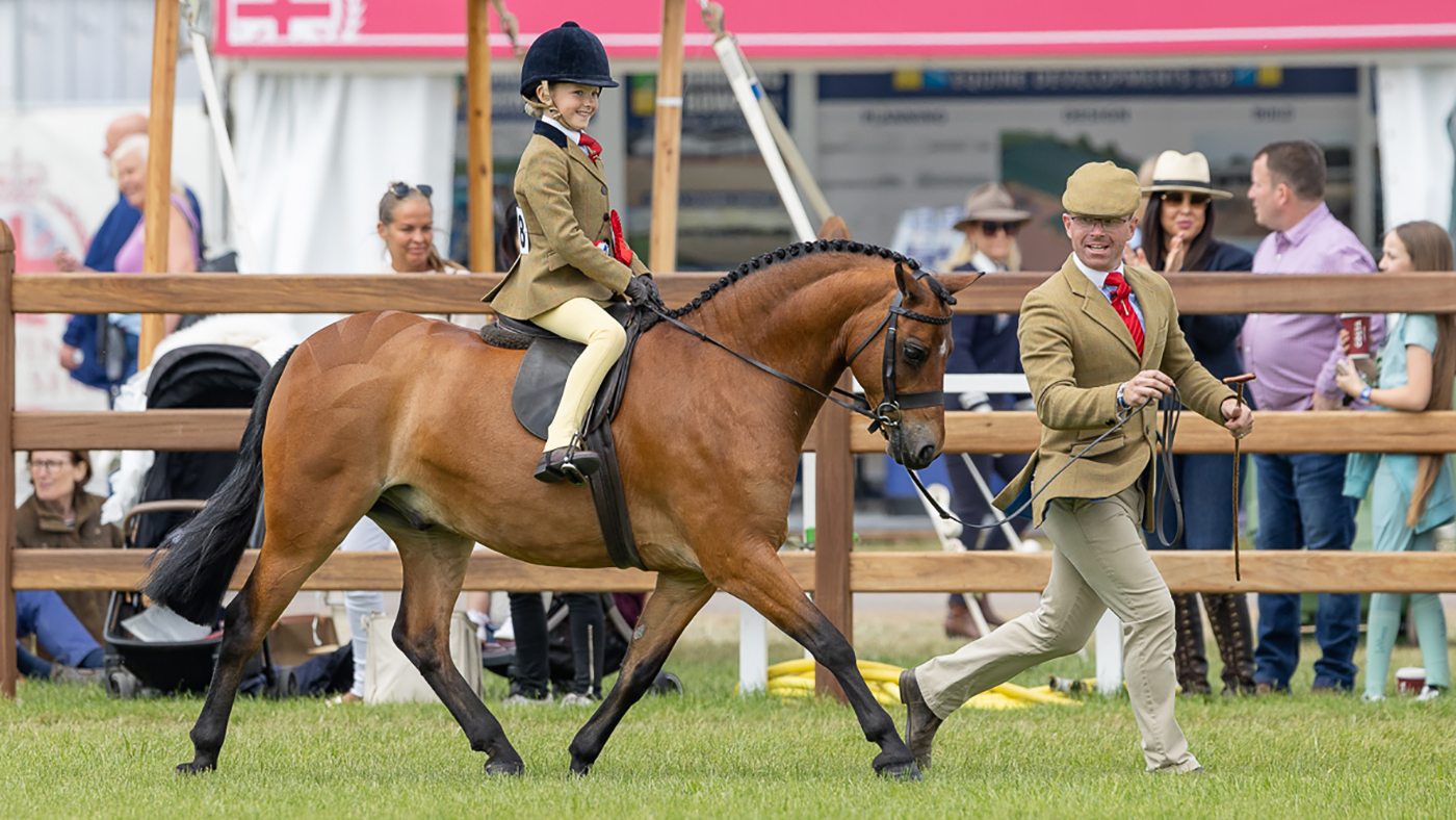 Les meilleurs mini-poneys tressés se dirigent vers le spectacle de chevaux Royal Windsor