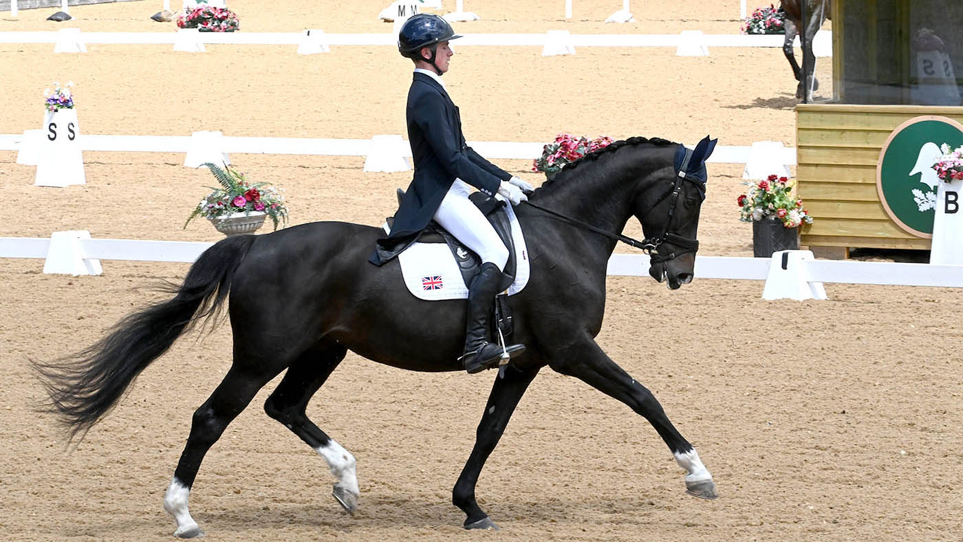 Myles Graham annonce que Top Horse recule du niveau supérieur