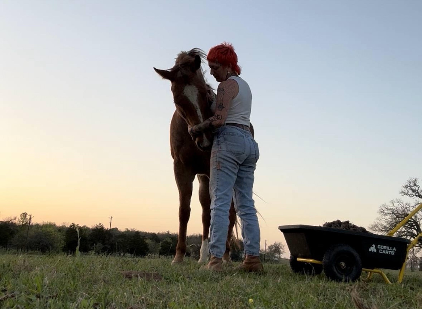 Horse qui a «explosé» lorsqu'il était monté dans son fil dans son front