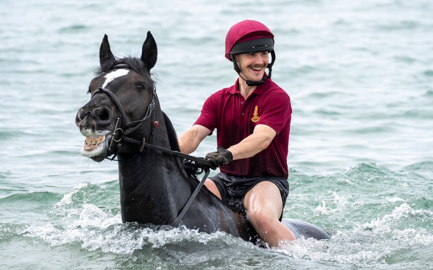Un `` moment spécial '' en tant que cheval de cavalerie qui a galopé par Londres rejoint des collègues pour un voyage à la plage - et nager