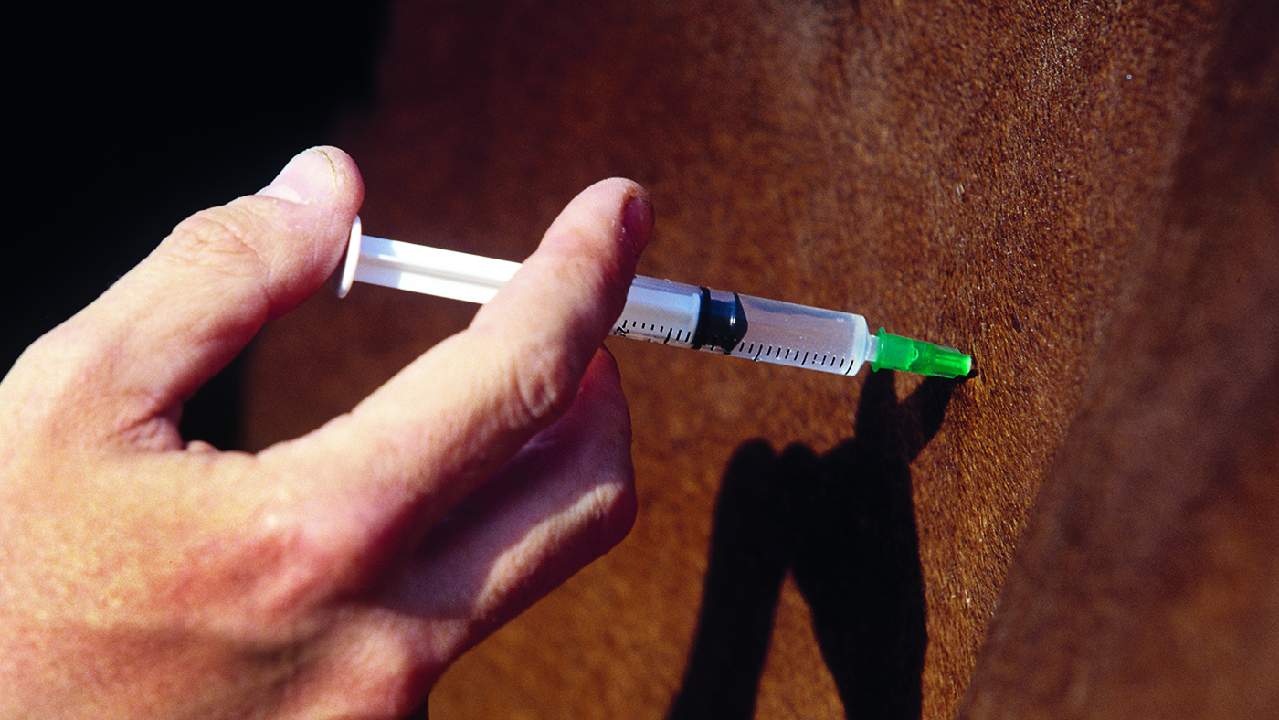 Actualités de bienvenue sur la sécurisation des médicaments vétérinaires pour l'Irlande du Nord