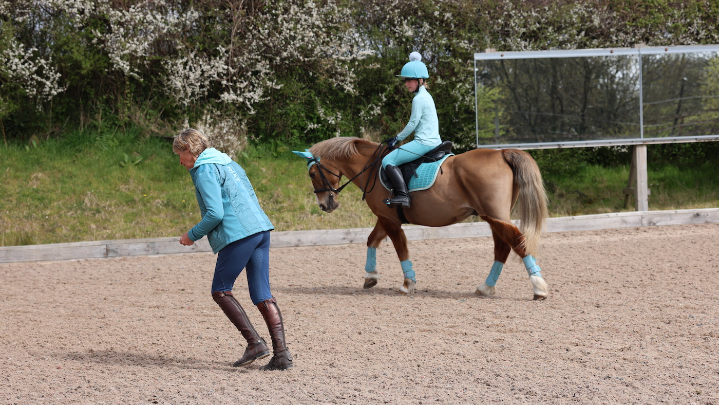 Formation avec Mary King - leçon de conduite