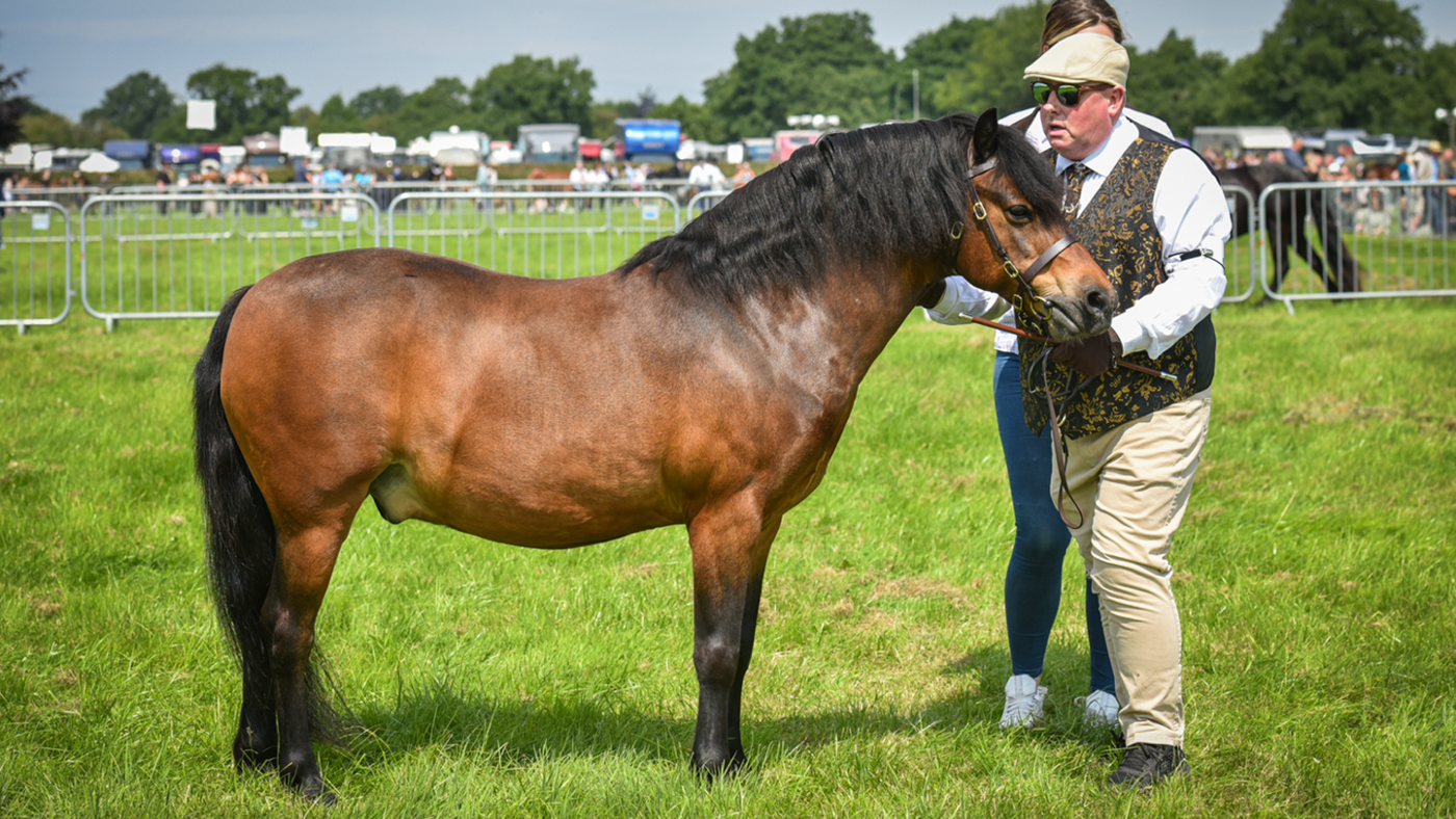 Alieuvre montrant les passionnés qui ont gagné au Royal Cheshire County Show