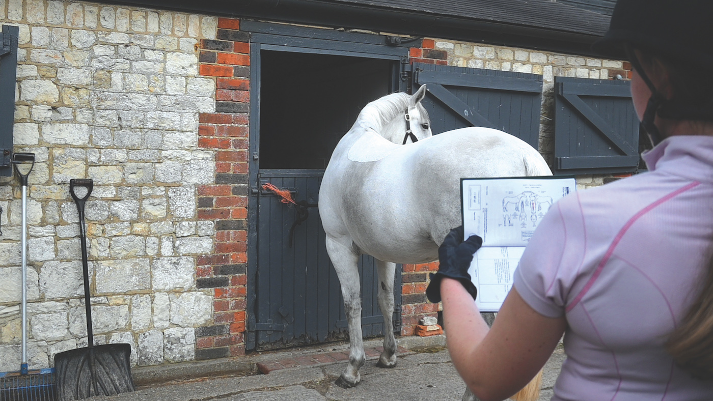 De nouveaux appels à des passeports numériques équins au Royaume-Uni et à travers l'Europe