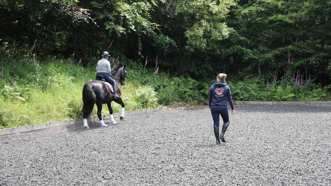 Examen proposé à posséder des chevaux, mais «le meilleur RP est de faire la bonne chose»