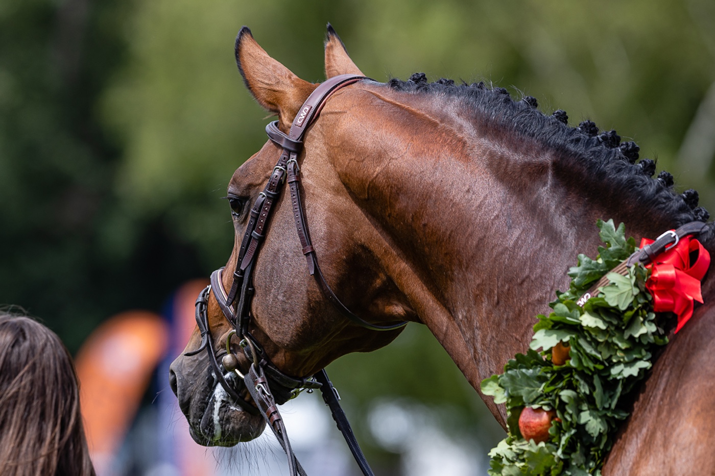 Un envoi approprié pour une superstar à la retraite et d'autres histoires clés du monde des chevaux