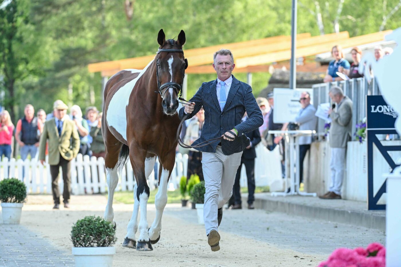 Un cheval envoyé à la boîte de tenue à Luhmühlen Trials Horse CCI5 * Premier trottoir