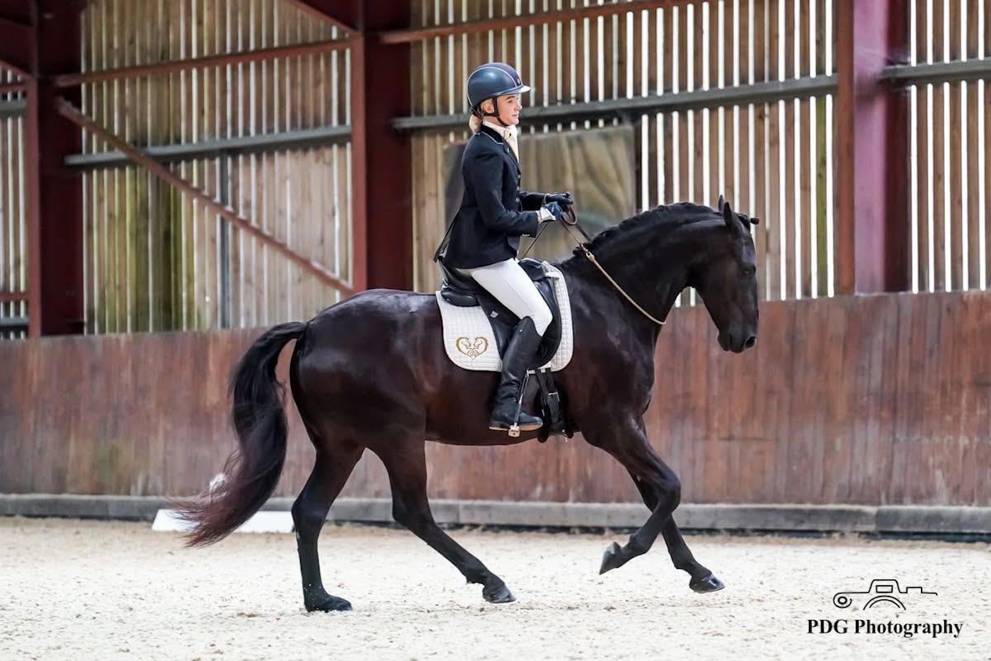 Bridleles sans le départ dès le début remporte le premier concours de dressage