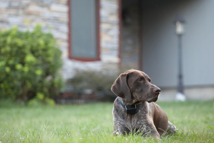 Commentaire jardinier