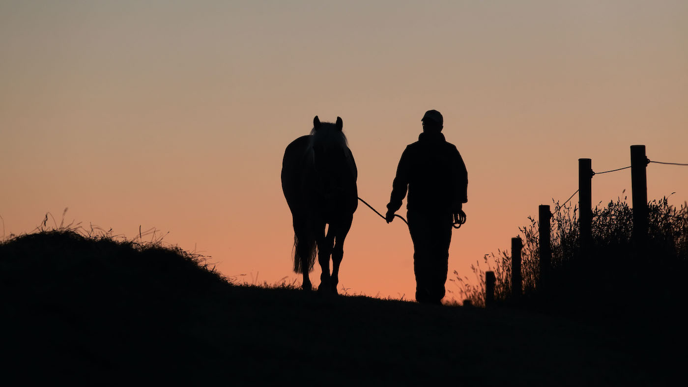 Les propriétaires «critiques» connaissent leur couverture d'assurance lorsque les chevaux doivent être abattus