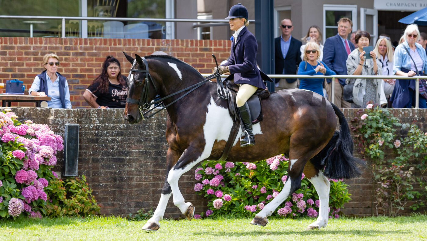 M. Vincent a couronné dans le championnat Royal International Royal 2025