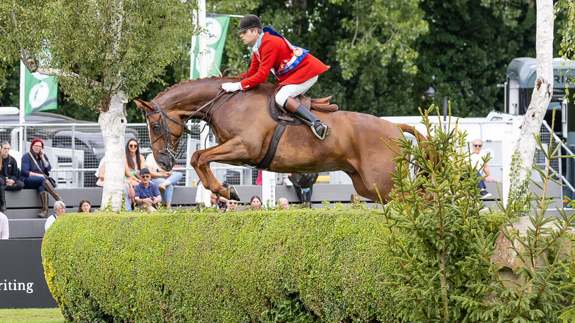 Mulberry Lane est Royal International Supreme Horse pour la deuxième fois