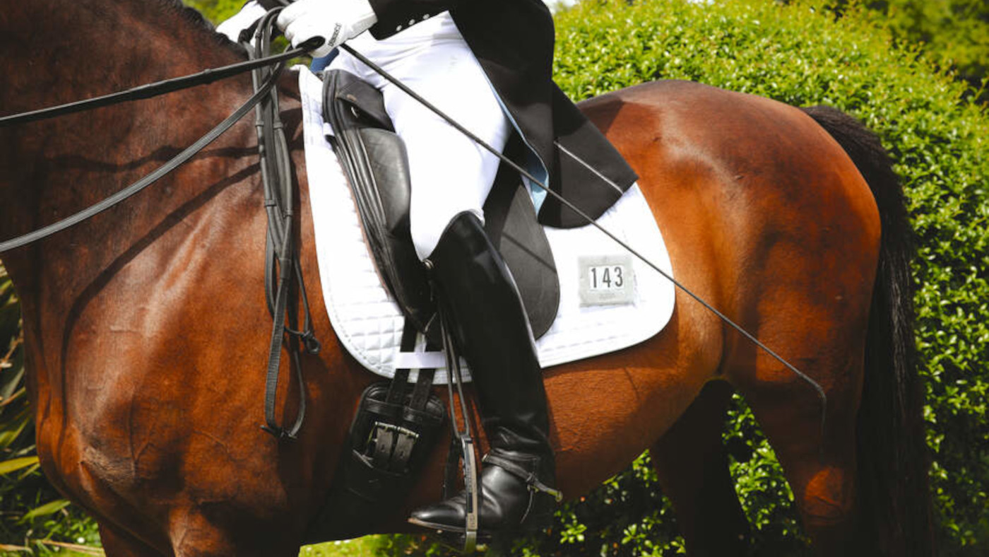 Nouvelle règle à double bride proposée pour le dressage international aux côtés de rendre public les commentaires des juges