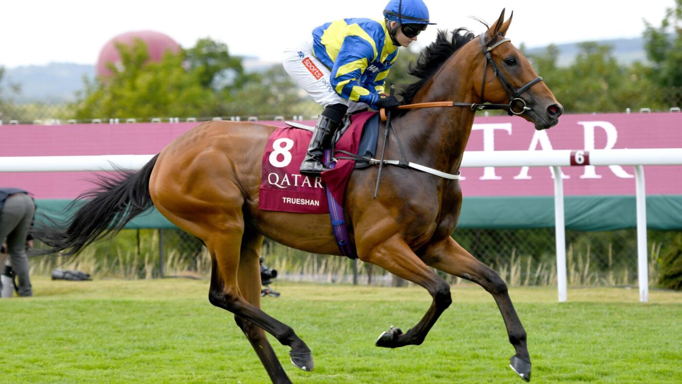 Trueshan a été déposé après avoir subi une blessure mortelle à Goodwood