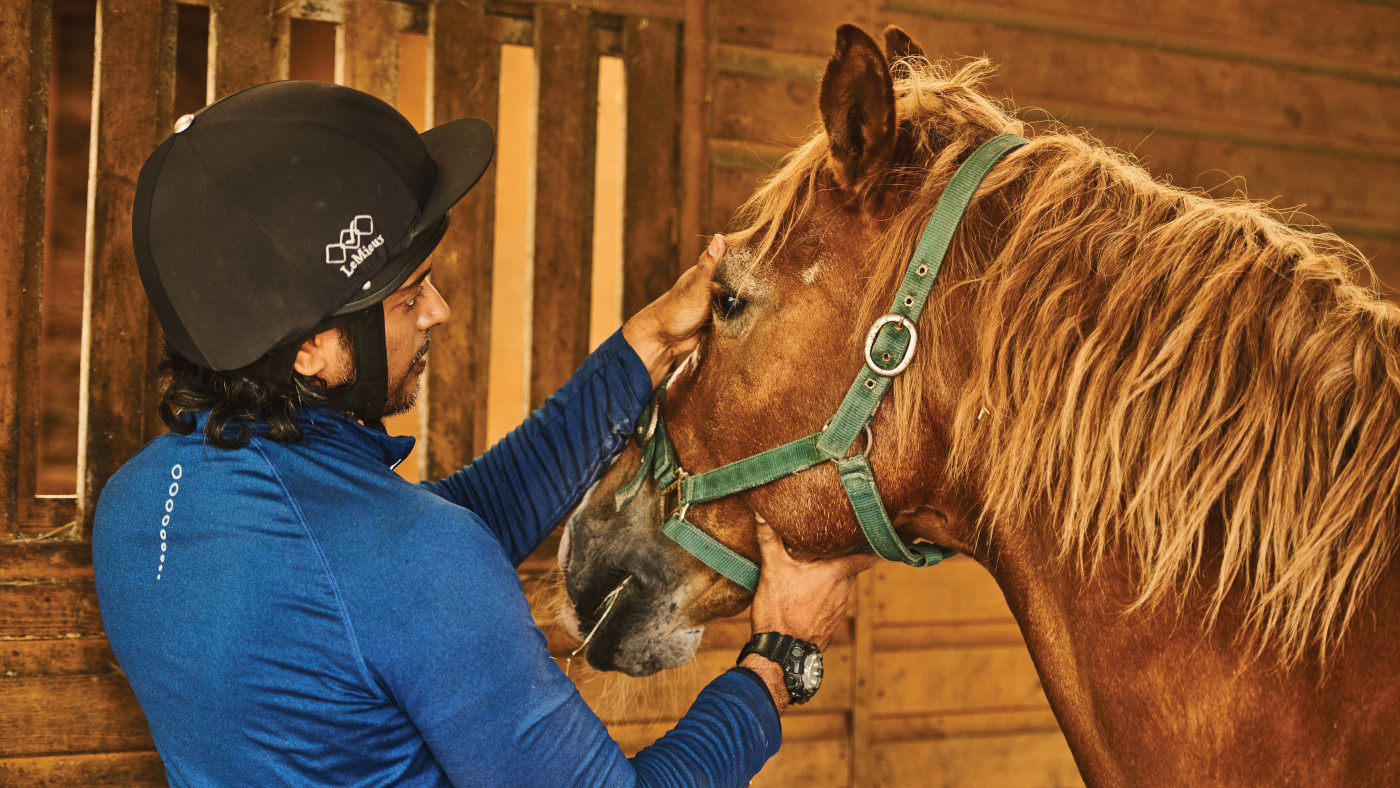 Une meilleure éducation - pas des examens - pour les propriétaires de chevaux pourraient être essentiels pour un meilleur bien-être