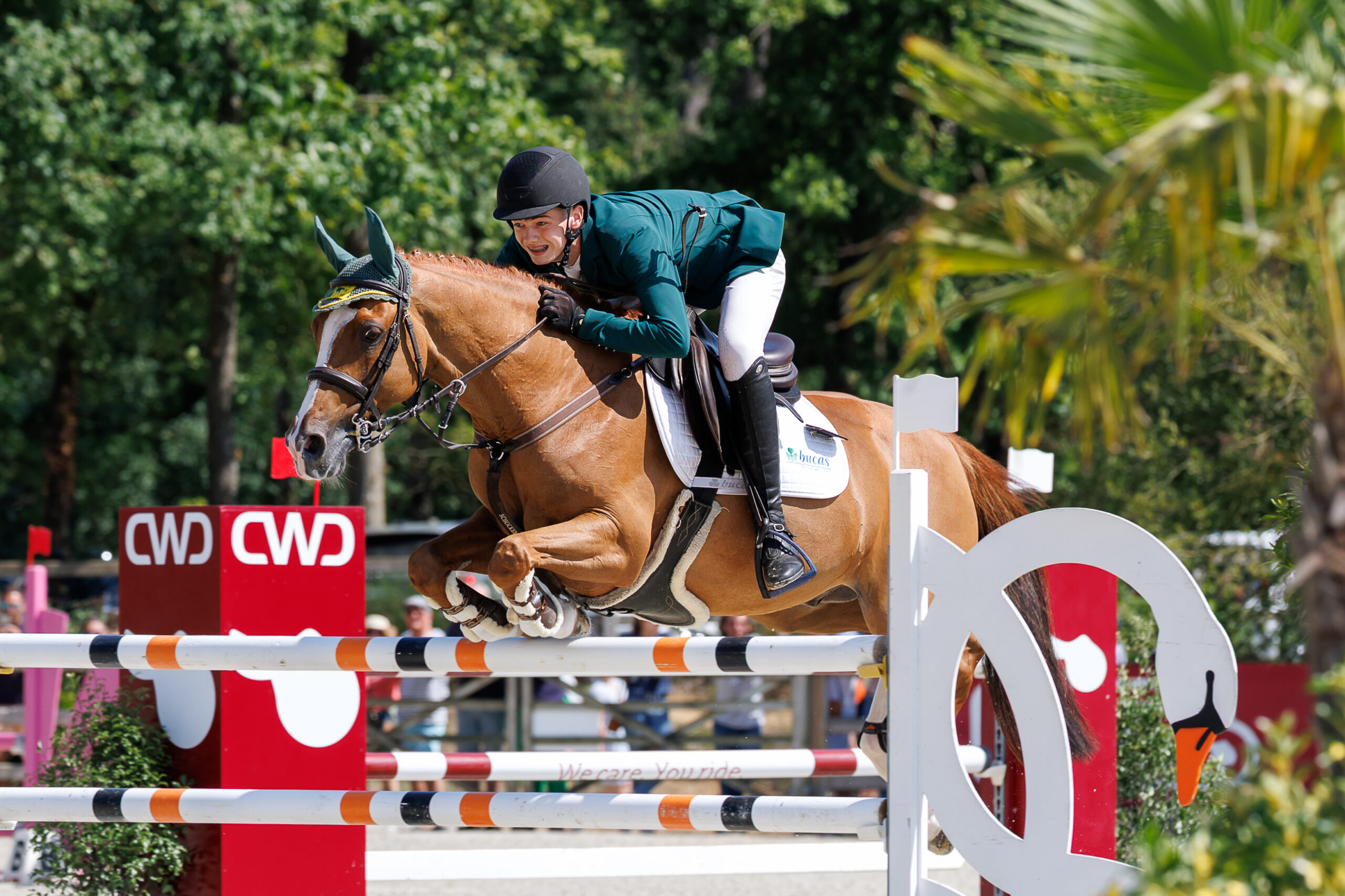 Cian McMunn remporte l'or individuel aux championnats européens de Pony European Riding Esperando SK pour l'Irlande.