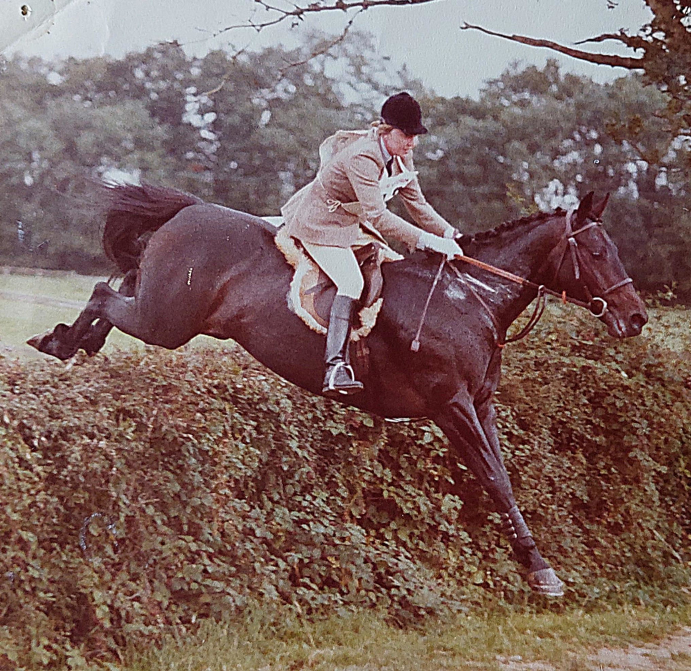 'Poetry in Motion on a Horse': Adieu à un cavalier, éleveur et propriétaire très apprécié