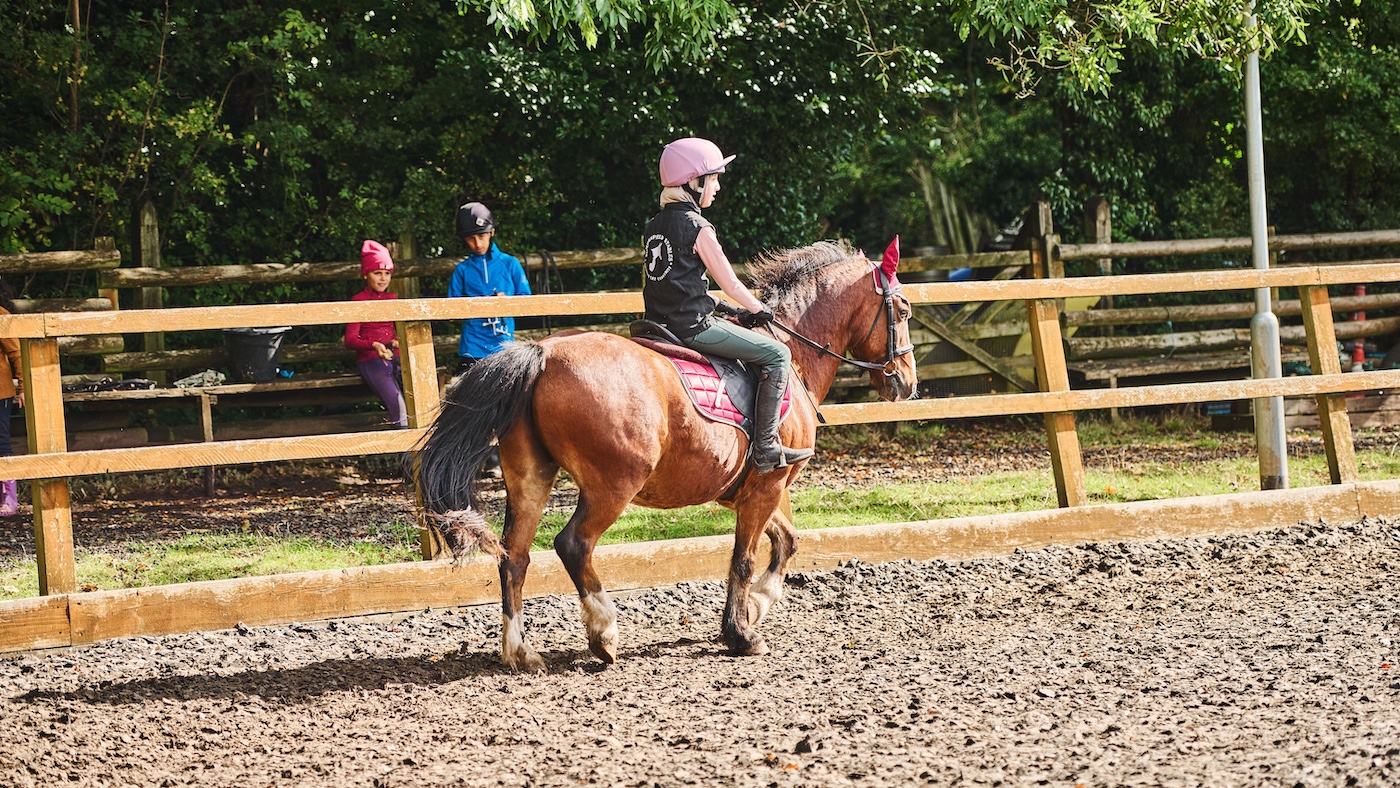 84 écoles d'équitation plus précieuses ont perdu mais quelques signes positifs dans les moments difficiles