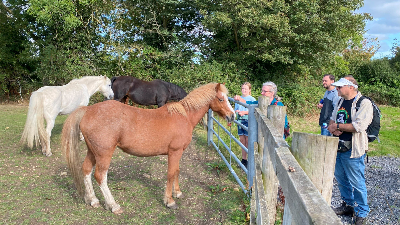 Heartbreak en tant que collecte de fonds essentielle de la journée portes ouvertes d'Equine Charity annulée en raison de l'épidémie d'infection