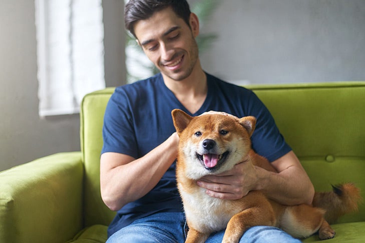 Homme assis sur le canapé avec un Happy Shiba Inu.