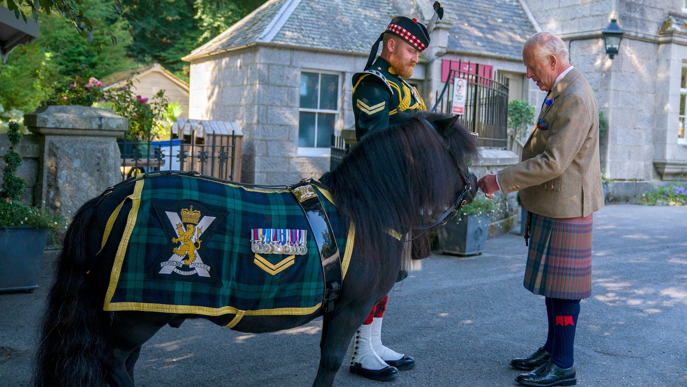 Shetland effronté sur un comportement parfait pour accueillir le roi à Balmoral