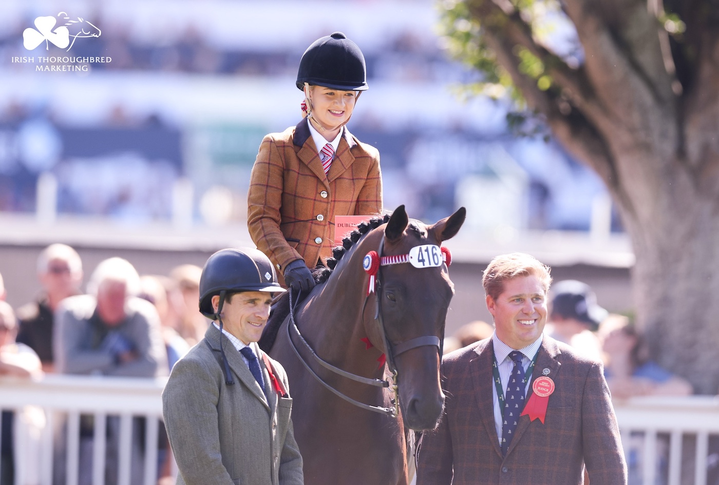 `` Un sur un million '': la star de la Cheltenham Gold Cup remporte Fabulous montrant Double