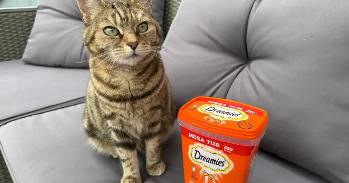 Vos critiques de chat: Dreamies Cat Treats