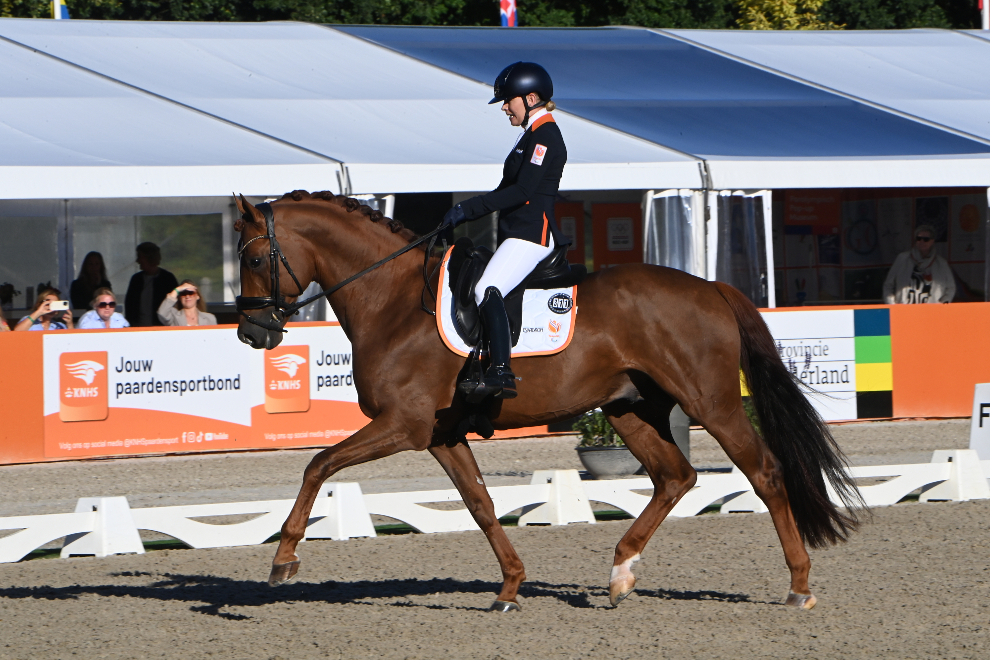 Rixt van der Horst gagne l'or aux championnats de dressage para européens