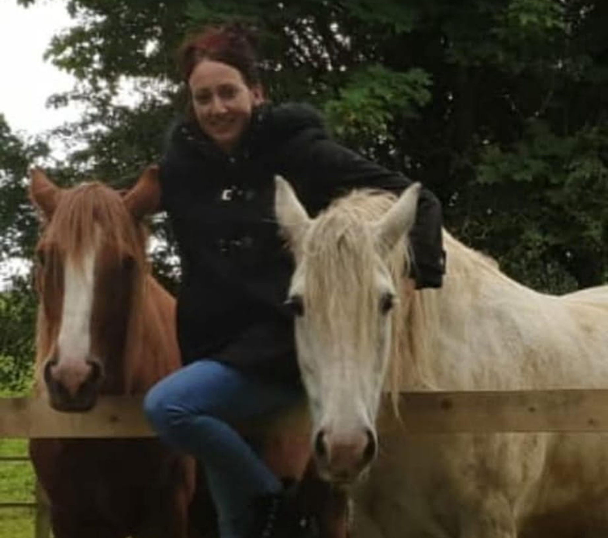 Les propriétaires de chevaux ont été tués sur la campagne de pirat