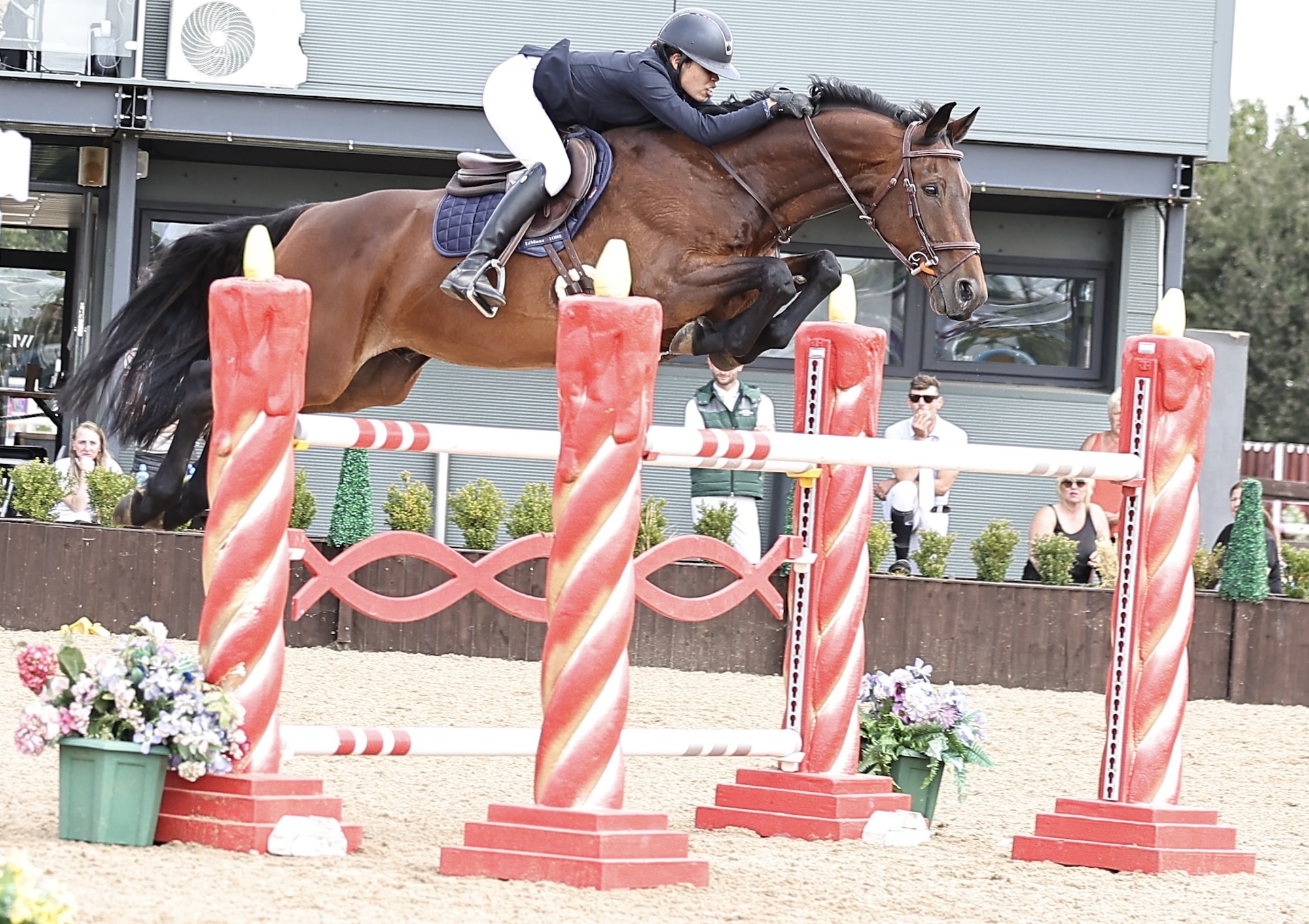 `` Un rappel de la joie de notre sport '': Horse acheté comme un projet de 1 000 £ sur le terrain se qualifie pour Foxhunter Final