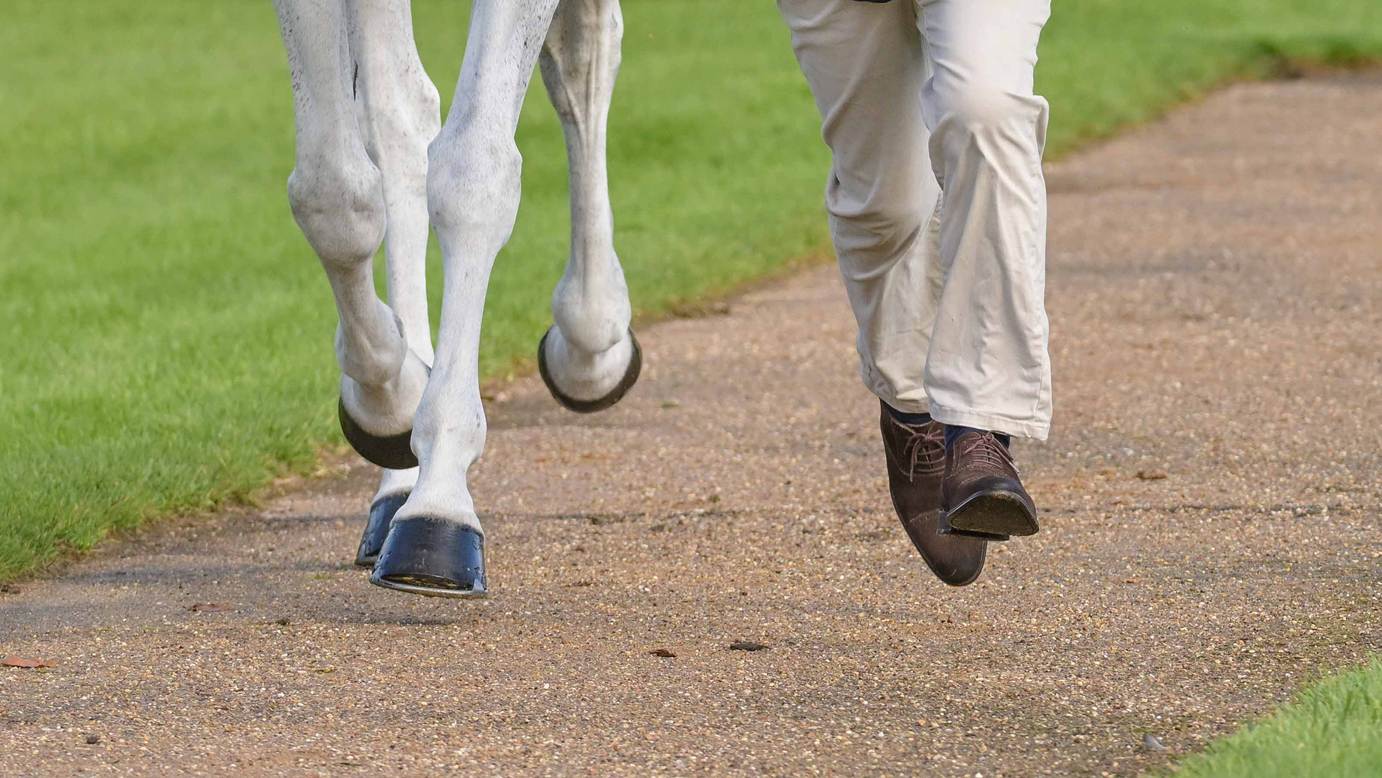 Burghley Horse Trials Final Trot-Up UpdE comme un cheval retiré