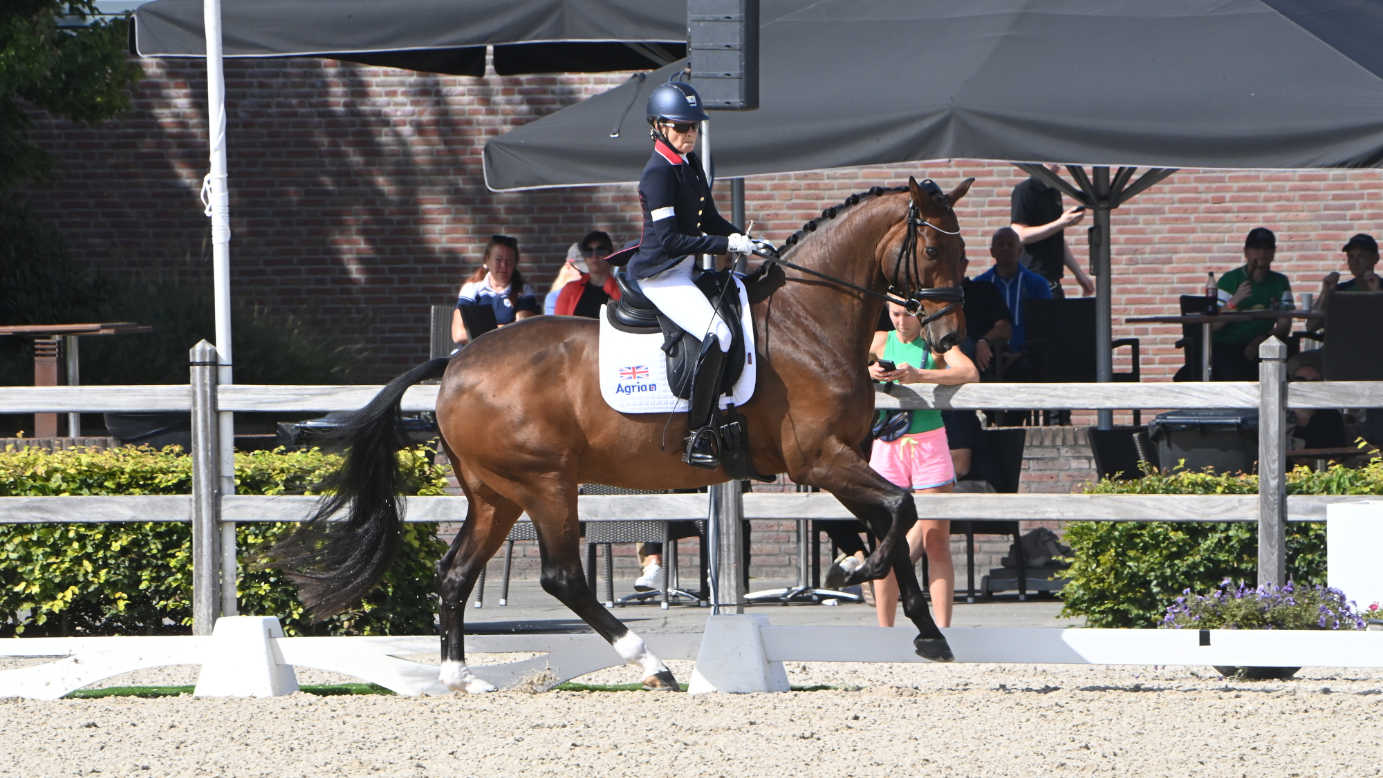 Championnats européens de dressage de para