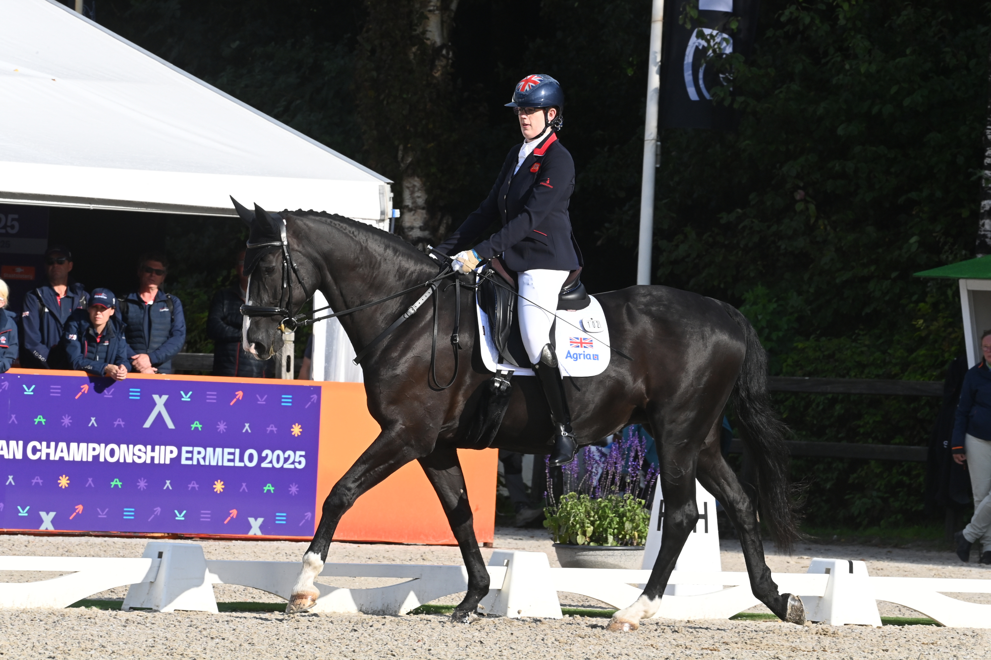 La Grande-Bretagne détient la nuit à l'argent aux championnats de dressage para européens