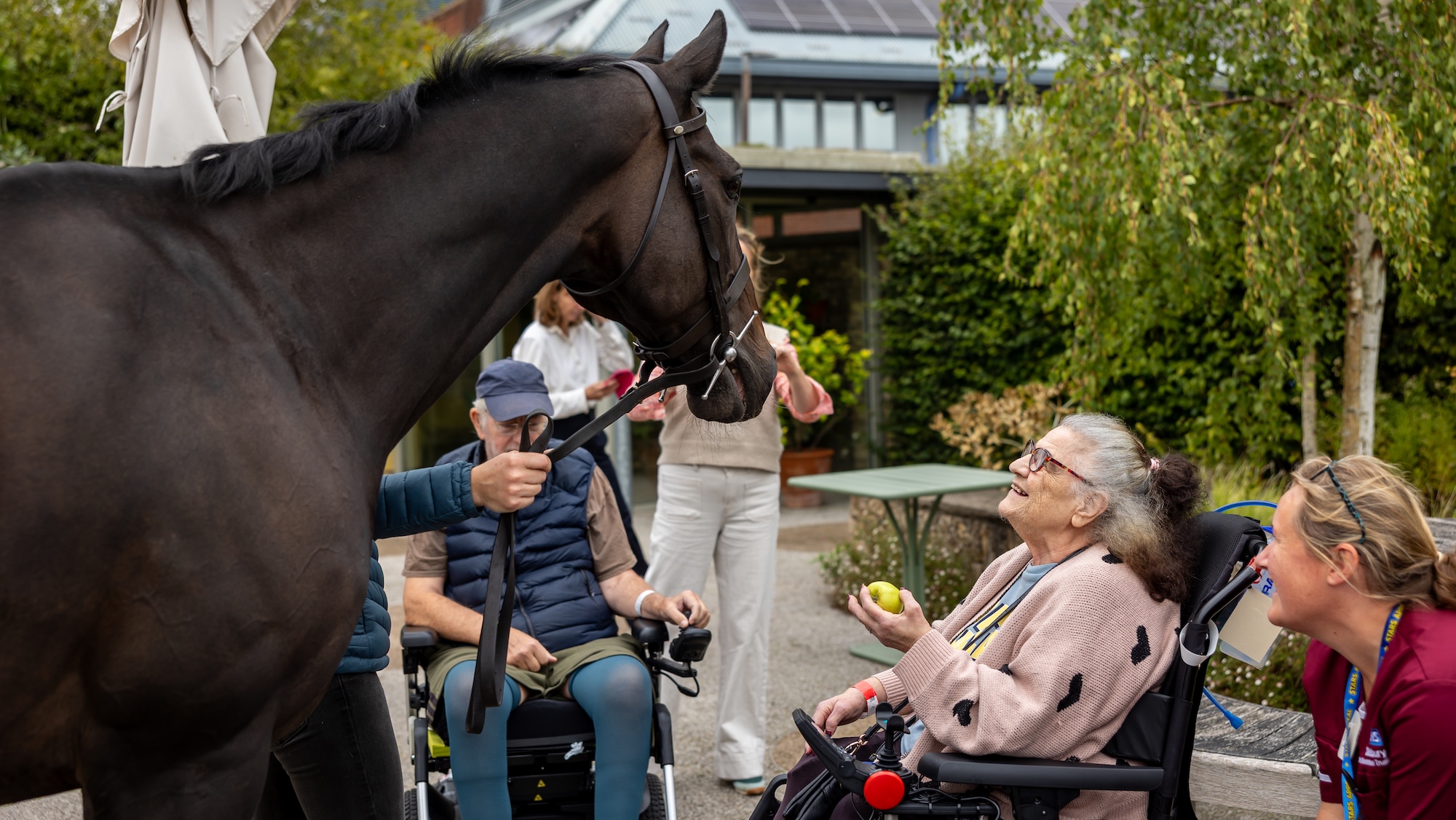 Le cheval de course à la retraite Frodon apporte de la joie aux patients atteints de blessures de la colonne vertébrale en visite à l'hôpital