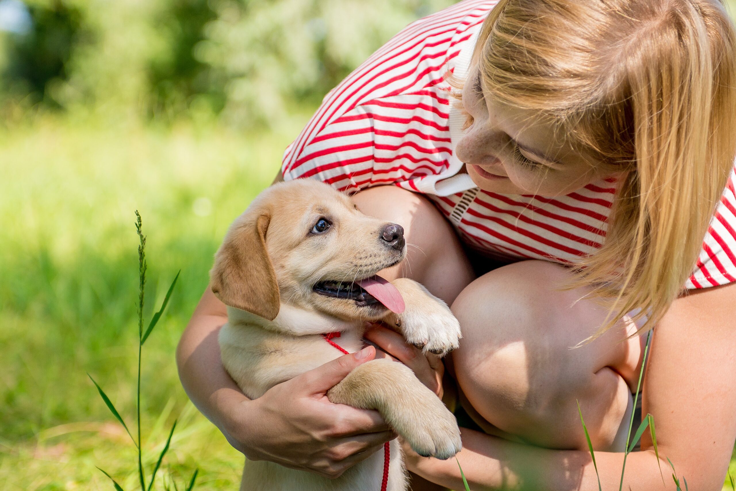 Les acheteurs de chiots responsables se transforment en propriétaires de chiens responsables