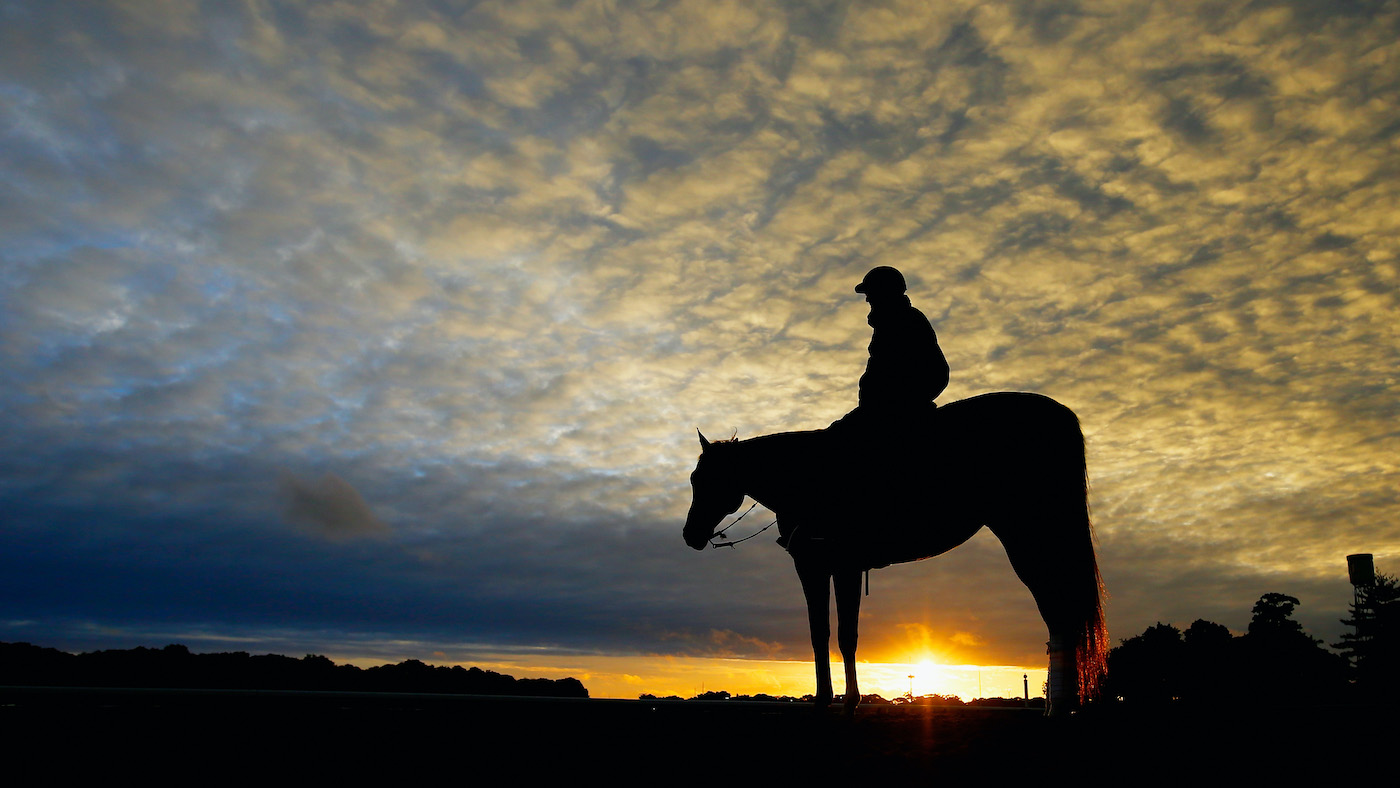 Modifications après les «chevaux - Faire un documentaire Killing» nécessite un soutien transfrontalier pour protéger le bien-être équin