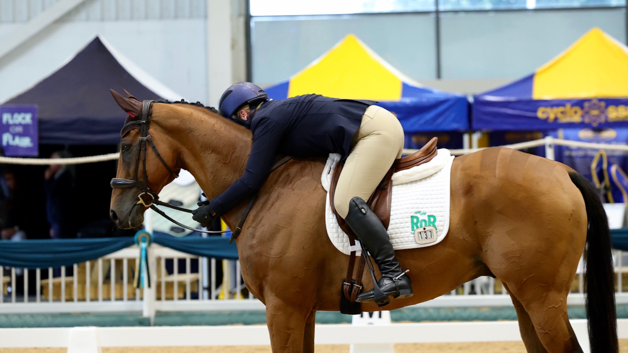 Nouveau schéma pour aider à relier les points lorsque les chevaux quittent la course