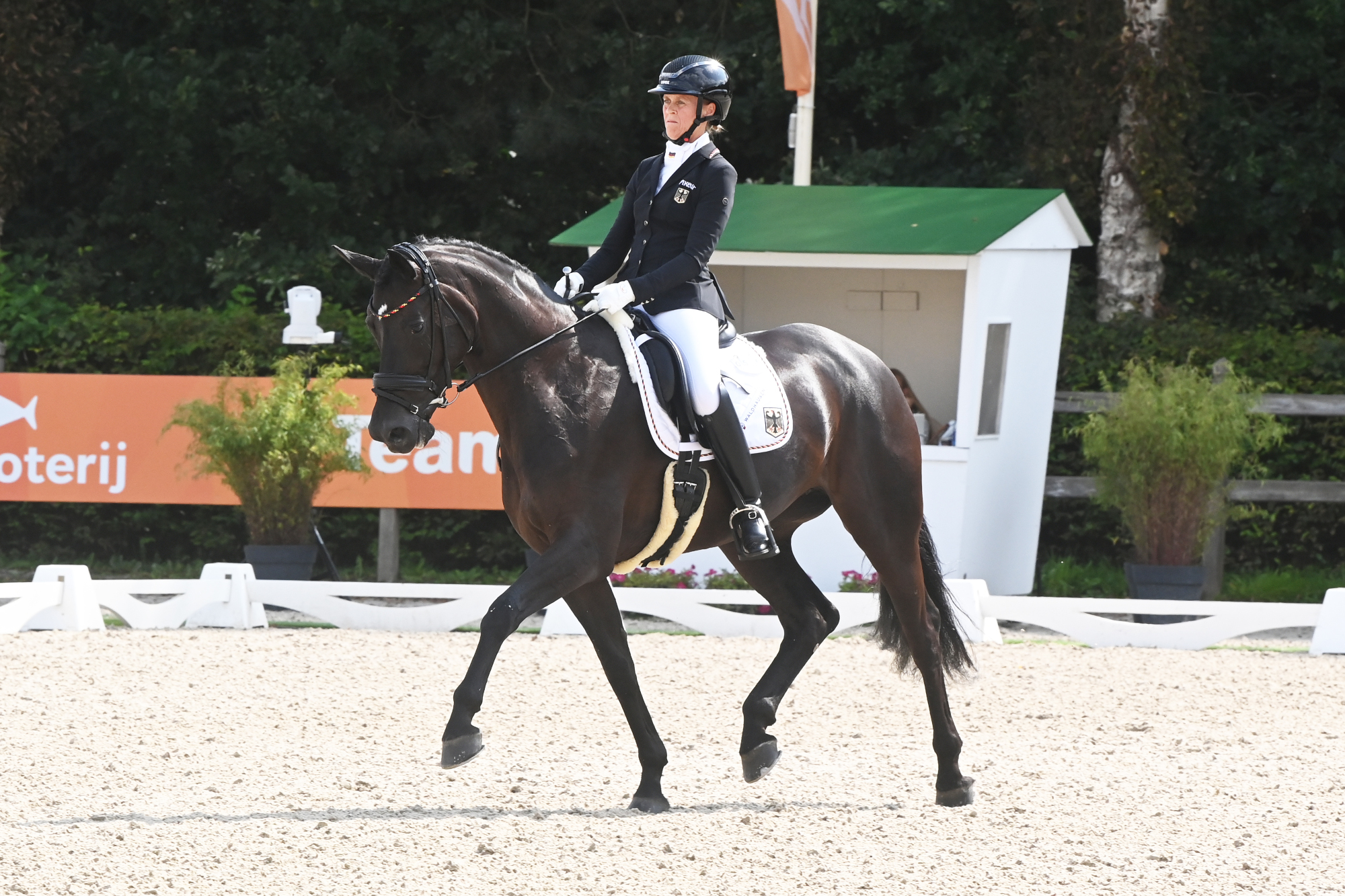 Or individuel pour l'Allemagne aux championnats de dressage para européens