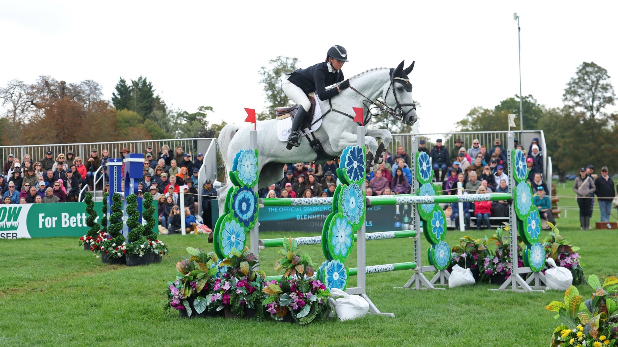 Sam Lissington mène CCI4 * -S après les essais de chevaux de Blenheim
