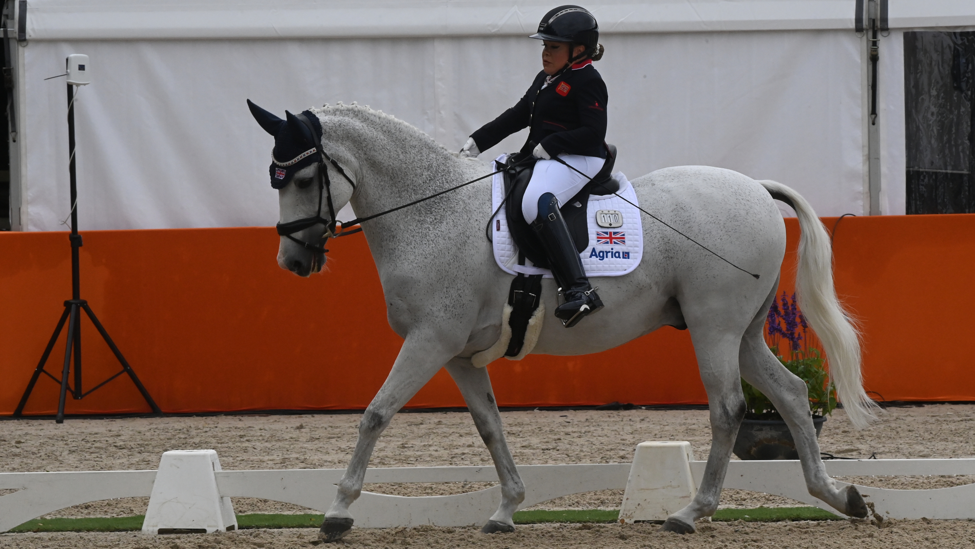 Times de l'équipe publiés pour les championnats de dressage para européens