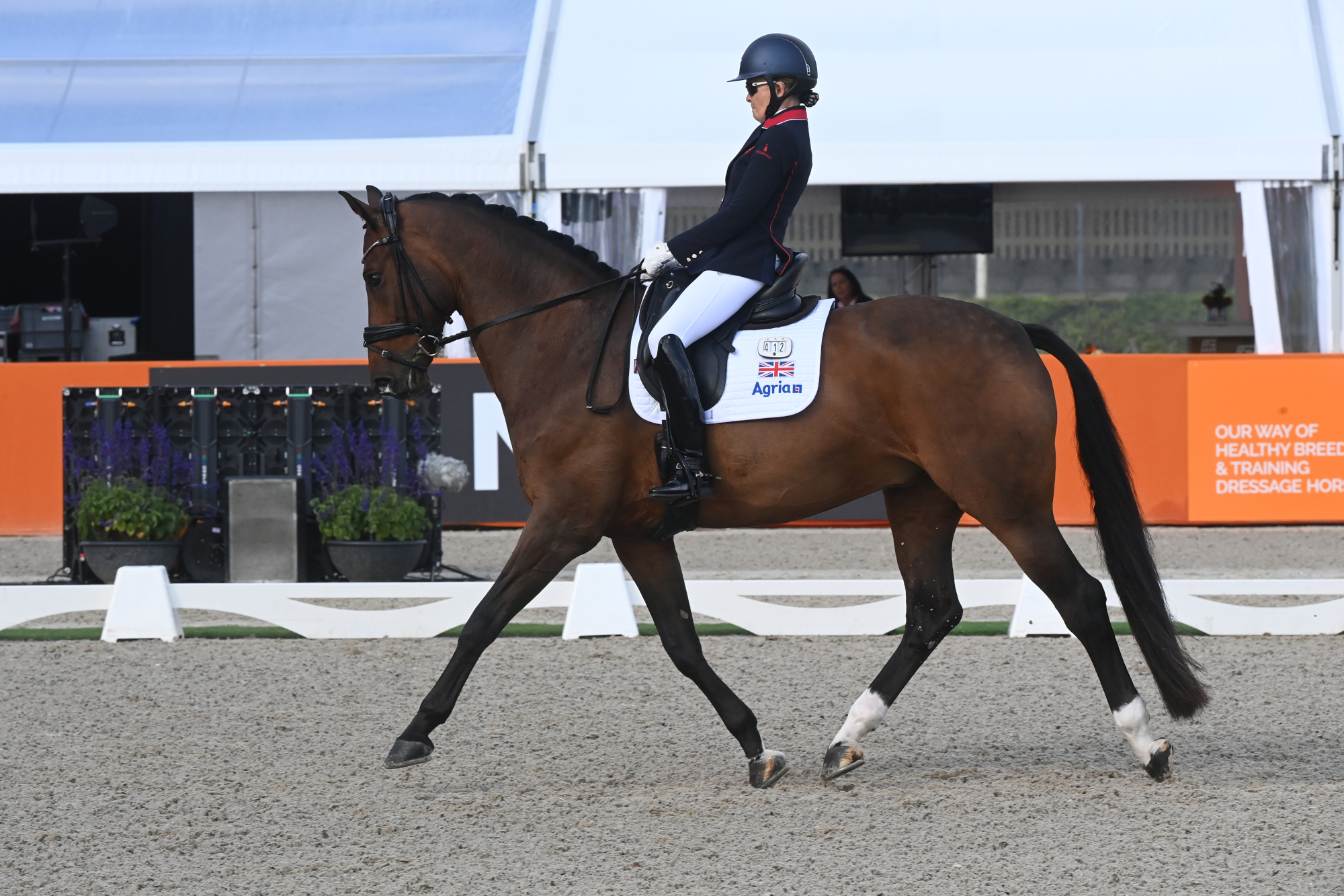Troisième médaille pour la Grande-Bretagne aux Championnats d'Europe de dressage de paragraphe