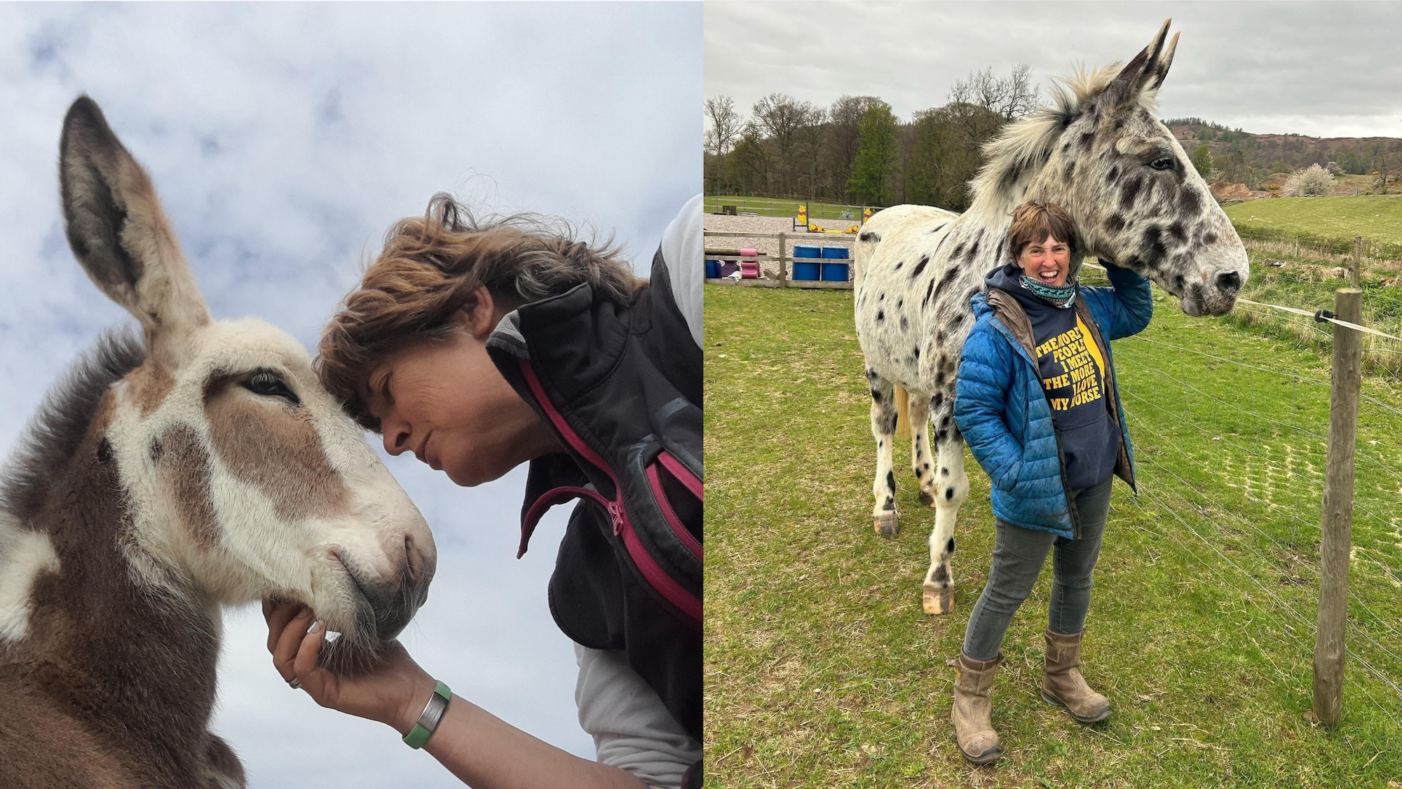 Rencontrez Milton le 16hh a repéré Mule qui est monté sans tacle, joue au football et vit avec des ânes mammouths