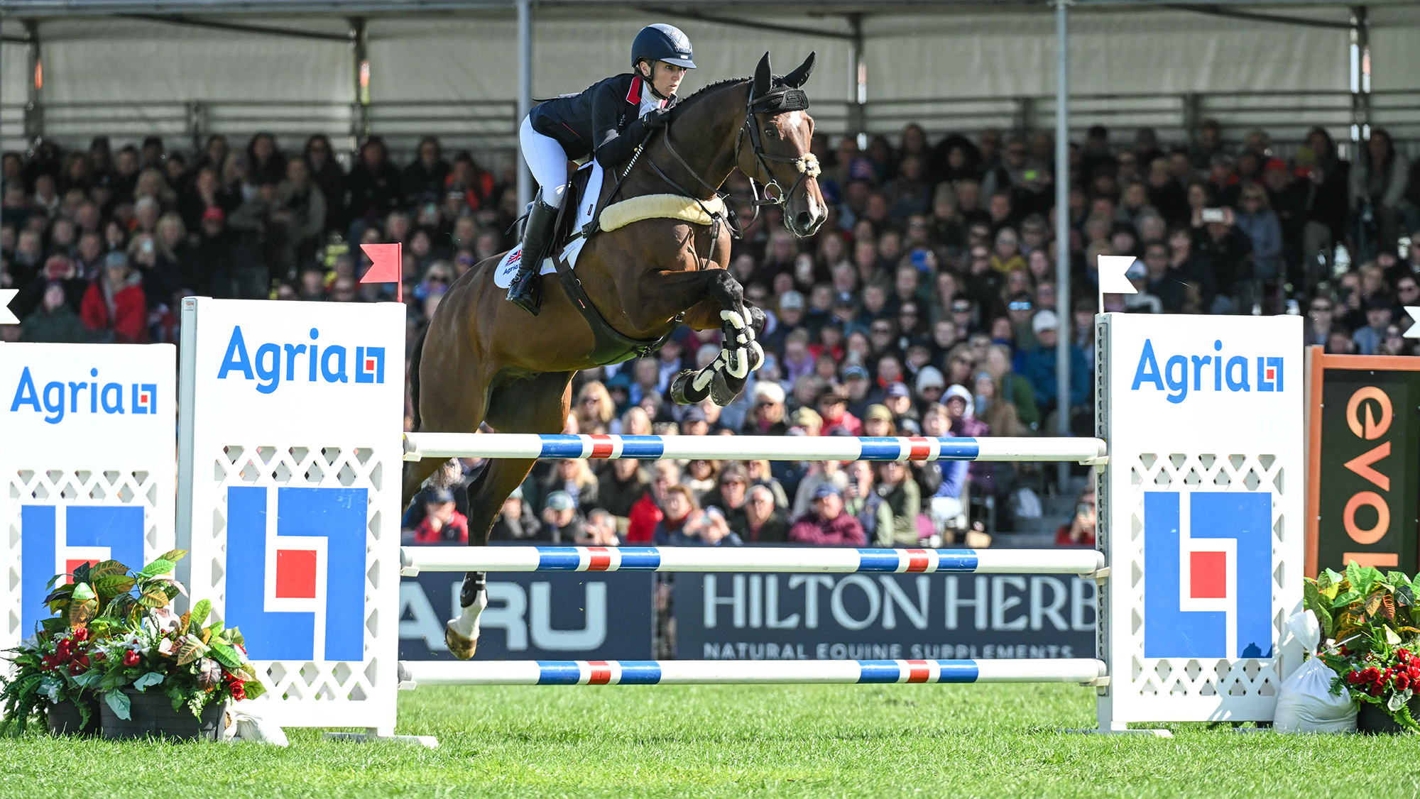 Top Brits dans le mélange pour les prestigieux FEI Awards 2025 - Votez maintenant!