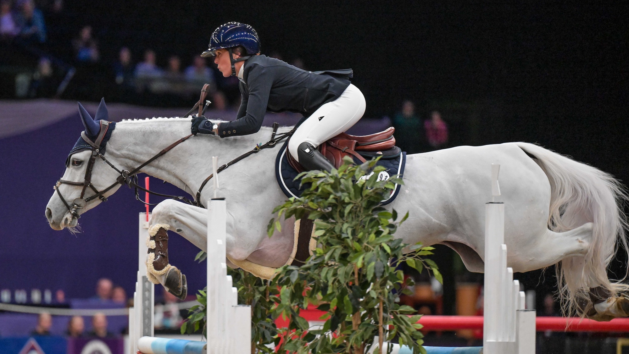 Le gris fougueux PDV Constanza est en tête du podium toutes juments à HOYS